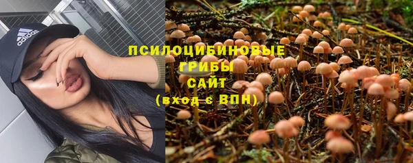 PSILOCYBIN Алексеевка