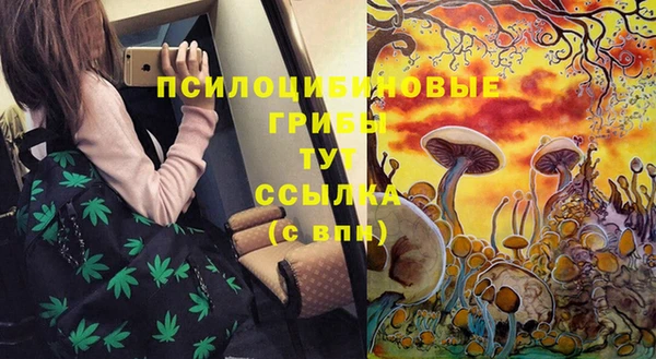 jwh Алзамай