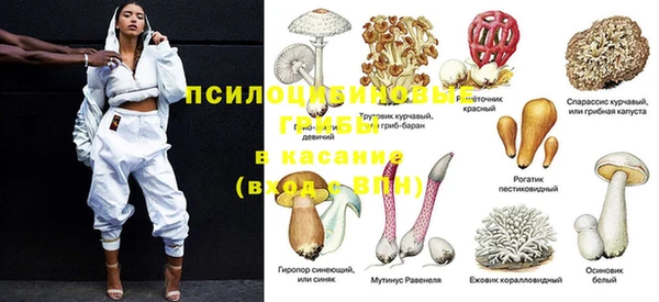 PSILOCYBIN Алексеевка