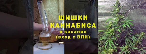 PSILOCYBIN Алексеевка