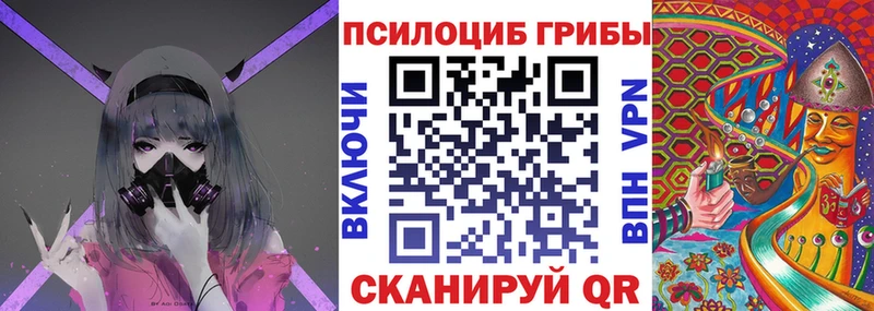 Галлюциногенные грибы Magic Shrooms  Ардатов 